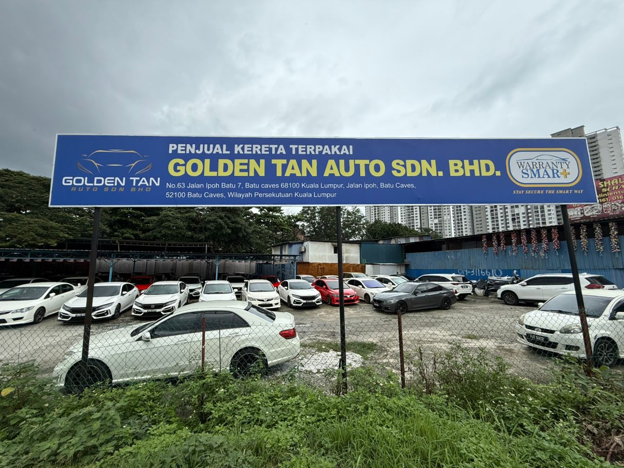 (KV) GOLDEN TAN