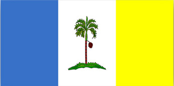 Penang flag